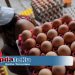 Harga Telur Anjlok, Apa Penyebabnya ?