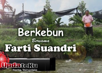 Potret Terbaru Farti Suandri, Pensiunan Kadis PU Jadi Petani dan Peternak