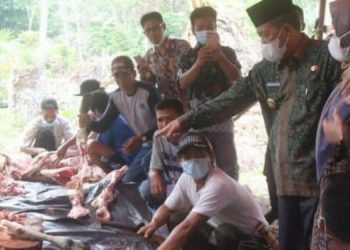 Wakil Gubenur Hadiri Penyembelihan Hewan Kurban untuk Suku Anak Dalam