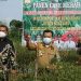 Lanjutkan Kunker di Bungo, Al Haris Tanam Kedelai dan Panen Cabe