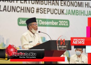 Wagub Abdullah Sani : Pemprov Akan Mengimplementasikan Ekonomi Hijau Pada Tahun 2022