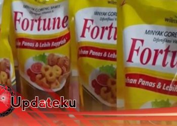 Emak-Emak Teriak Harga Minyak Goreng Melambung, Jokowi Perintahkan Mendag Segera Menurunkan Harga Minyak Goreng Menjadi Lebih Murah