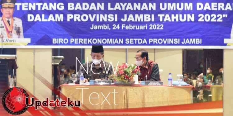 RSUD Raden Mattaher dan RSJ Diminta Tidak Utamakan Cari Keuntungan