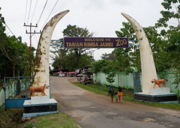 Lokasi Yang Kurang Ideal, Taman Rimba Akan Dipindahkan
