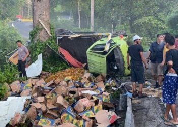 Truk Muatan 8 Ton Minyak Goreng Terguling di Jalan Lintas Lampung-Bengkulu