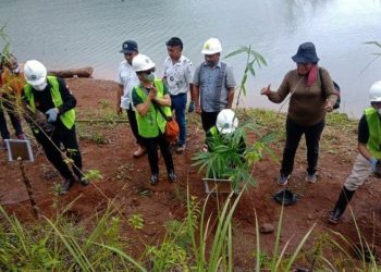 Bupati Sikka Fransiskus Roberto Diogo Menanam 5.000 Anakan Bambu di Bendungan Napung Gete