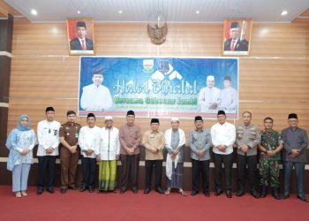 Pemprov Jambi Turun Tangan, Bantu Tangani Listrik di Tanjabbar