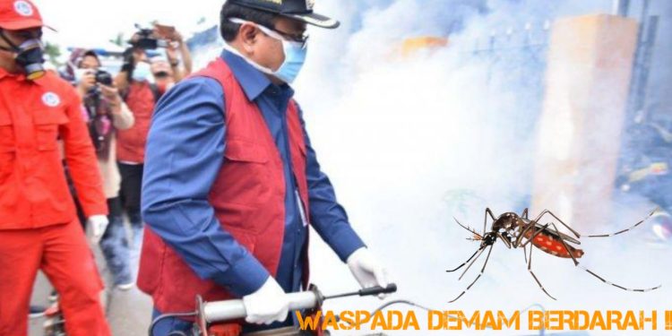 Pemerintah Kota Jambi Himbau Kepada Warga Untuk Siaga Demam Berdarah