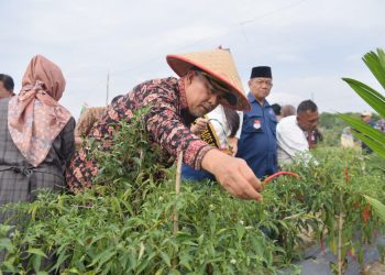Inflasi Kota Jambi di Bulan Maret Alami Penurunan