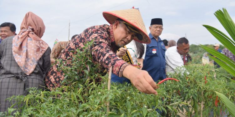 Inflasi Kota Jambi di Bulan Maret Alami Penurunan