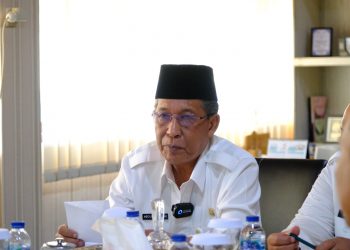 Wagub Jambi Abdullah Sani : TPPS Kerja Nyata Tangani Masalah Stunting di Provinsi Jambi