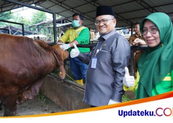 Iduladha 1444 H Pemkot Jambi Terjunkan 40 Petugas Kesehatan Hewan dan Potong 234 Hewan Kurban