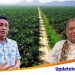 Nasroel Yasier : Bupati Batanghari Mhd Fadil Arief Wajib Mendukung Program Kemitraan Fasilitas Pembangunan Kebun Masyarakat