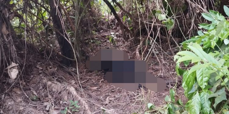 Sesosok Mayat Ditemukan di Kebun Durian di Desa Danau Lamo, Indentitas Belum Diketahui