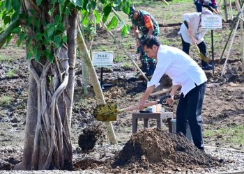 Tanam Pohon Bersama Masyarakat, Presiden: Ini Tindakan Nyata Hadapi Perubahan Iklim