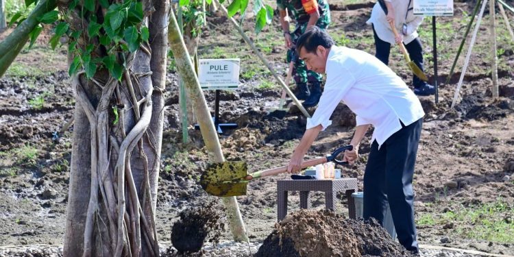 Tanam Pohon Bersama Masyarakat, Presiden: Ini Tindakan Nyata Hadapi Perubahan Iklim