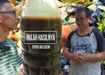 Bruder Matius Sumarjo, SCJ Ubah Sampah Menjadi Sesuatu Bermanfaat
