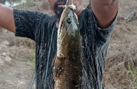 Sisi Positif Hobi Memancing Ikan