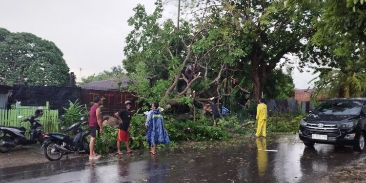 Angin Kencang Disertai Hujan Lebat Rusak Rumah Warga
