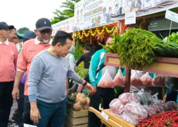 Meriah!!! Sambut HUT Jambi Ke 68 Gubernur Jambi Buka Pasar Tani dan Lomba Tangkap Belut