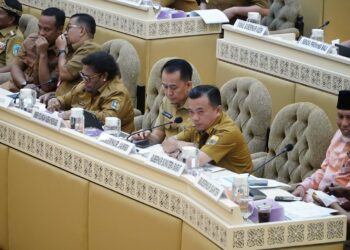 RDP Bersama Komisi II DPR RI, Al Haris Soroti Minimnya Kewenangan Daerah dalam Sektor Minerba