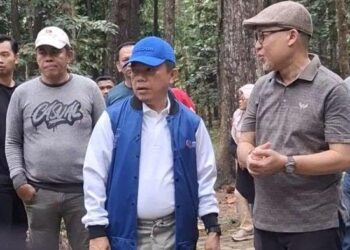 Disela Kunjungan ke Hutan Pinus, Gubernur Jambi Soroti Masalah Tapal Batas Jambi Sumsel