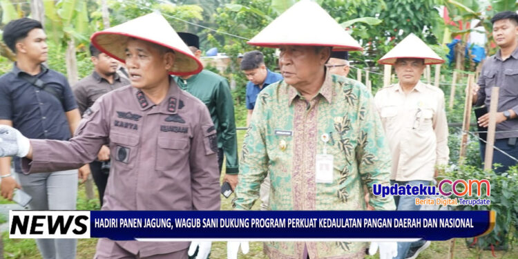 Hadiri Panen Jagung, Wagub Sani Dukung Program Perkuat Kedaulatan Pangan Daerah dan Nasional