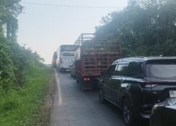 Kemacetan Panjang Terjadi di Jalur Jambi–Palembang, Diduga Akibat Mobil Terguling