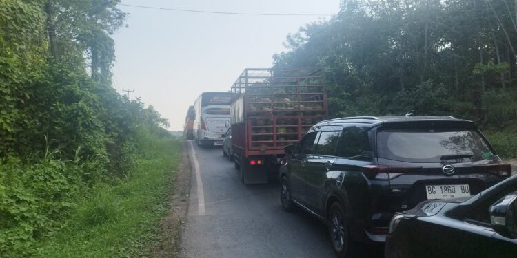 Kemacetan Panjang Terjadi di Jalur Jambi–Palembang, Diduga Akibat Mobil Terguling
