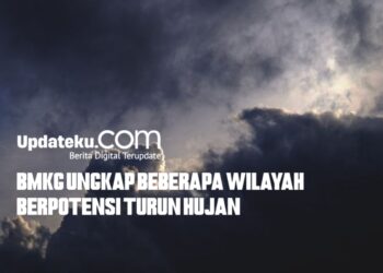 BMKG Ungkap Sejumlah Wilayah Indonesia Berpotensi Hujan, Simak Daftarnya